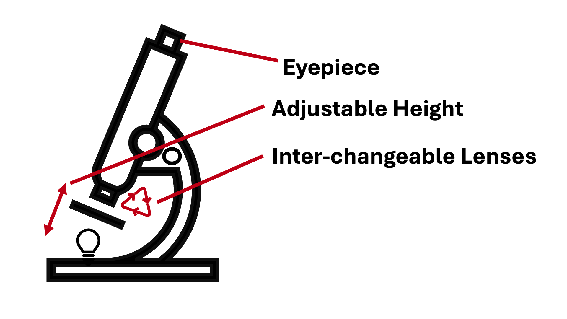 Adjusting microscope focus to view specimen clearly