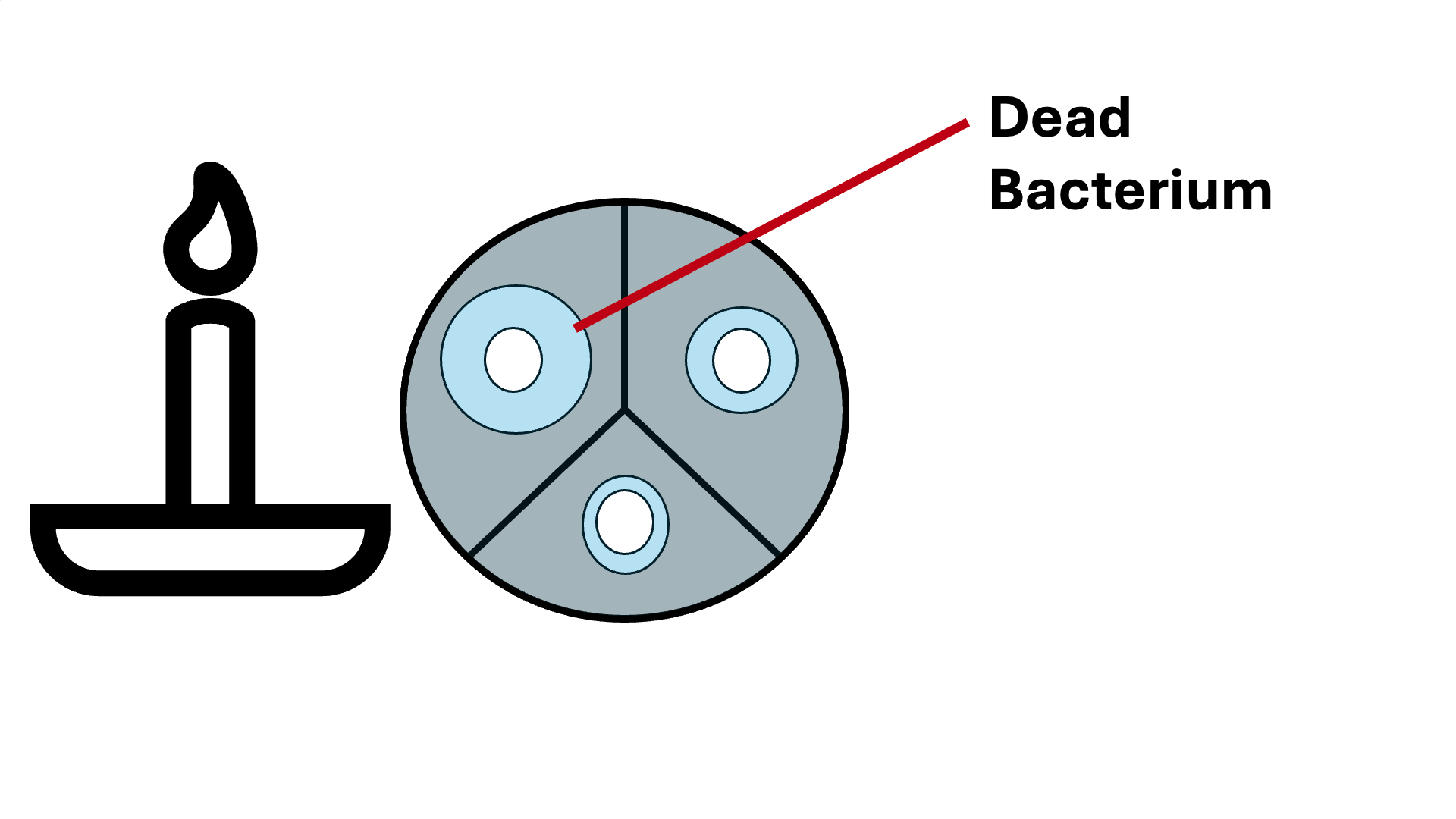Adjusting microscope focus to view specimen clearly
