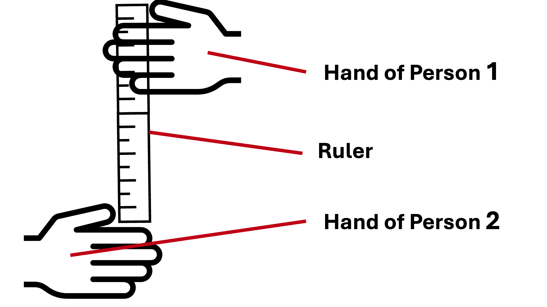 Ruler
