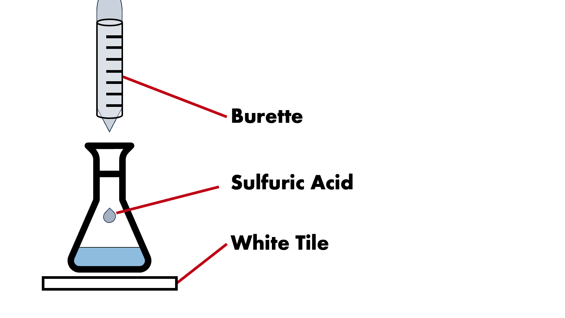Setting up the microscope with prepared slide