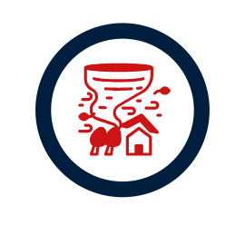 Site Icon