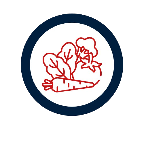 Site Icon