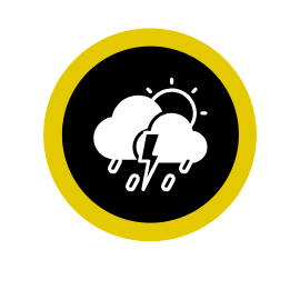 Site Icon