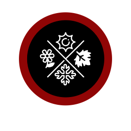 Site Icon