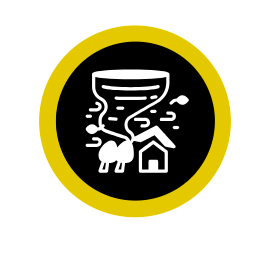 Site Icon