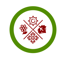 Site Icon