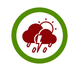 Site Icon