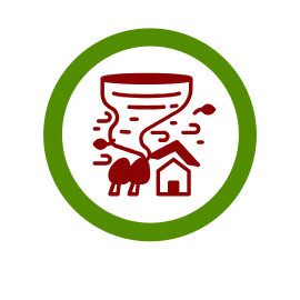 Site Icon