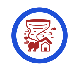 Site Icon