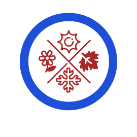 Site Icon