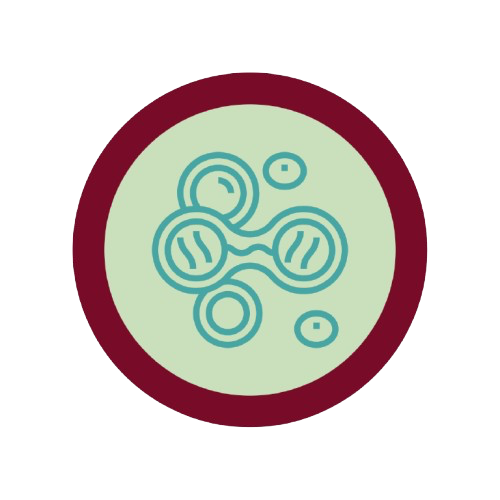 Site Icon